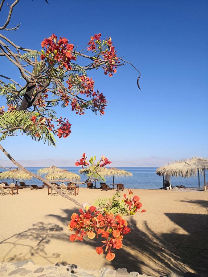 Nuweiba Lodge Luaran gambar